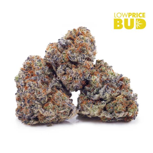 Buy Oreoz (AAA) online Canada