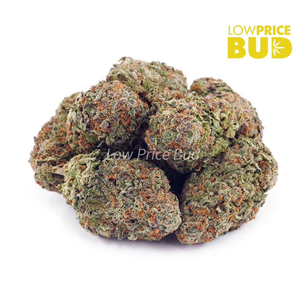 Buy Maui Wowie (AA) online Canada