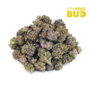 Buy Vanilla Kush (AAAA) – Popcorn Nugs online Canada