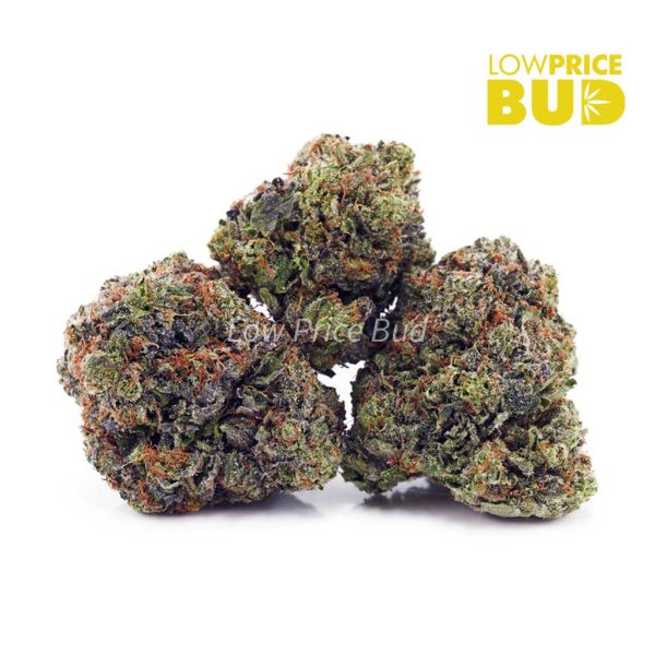 Buy Tropicana Cookies (AAA) online Canada