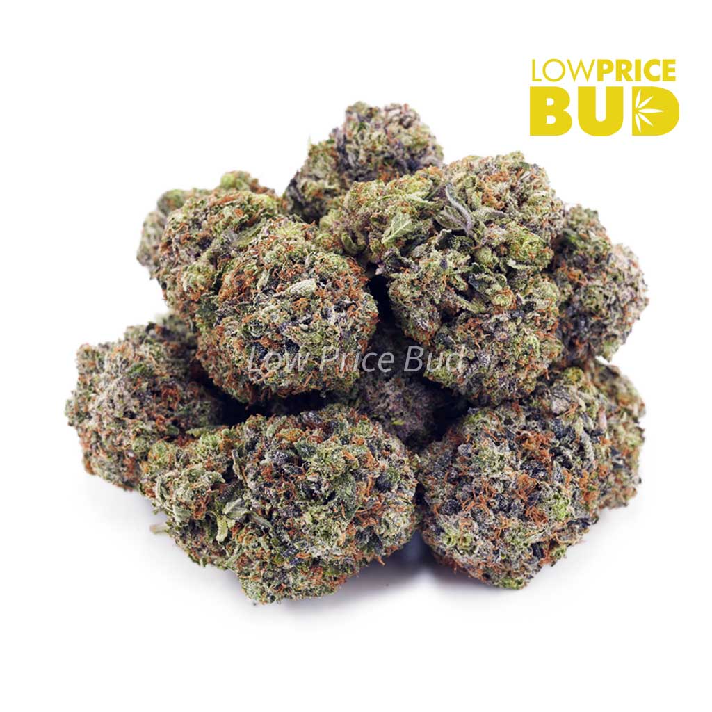 Buy Tropicana Cookies (AAA) online Canada
