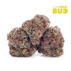 Buy Build Your Own (AAAA) Pound 16 x 28g online Canada