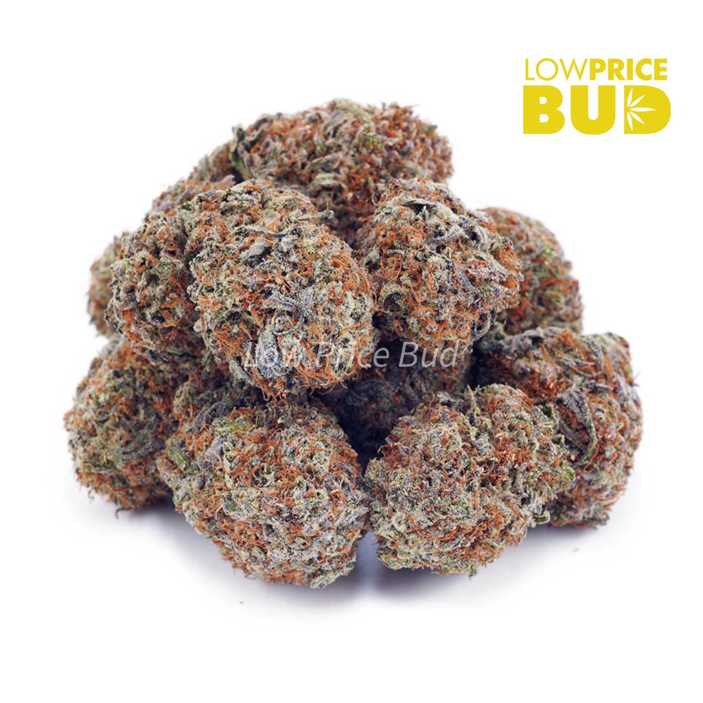Buy Slurricane (AAA) online Canada