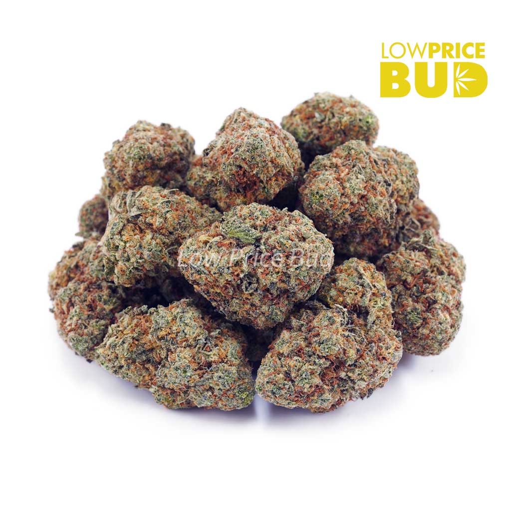 Buy Gelato #33 (AAA) online Canada