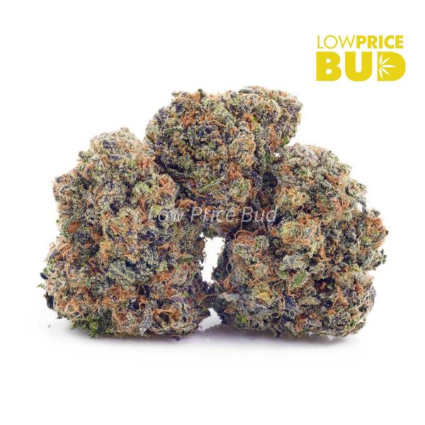 Buy Guava Cookies (AAA) online Canada