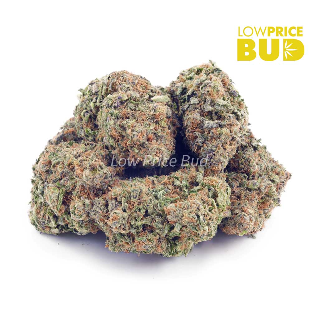 Buy Guava Cookies (AAA) online Canada