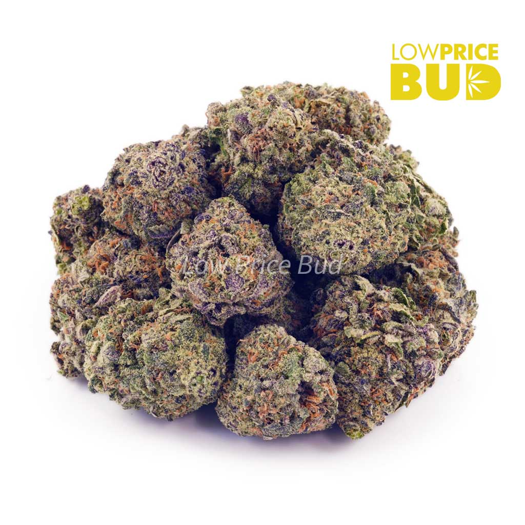Buy Alaskan Thunder Fuck (AAA) online Canada