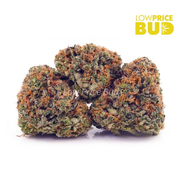 Buy Super Silver Haze (AAA) online Canada
