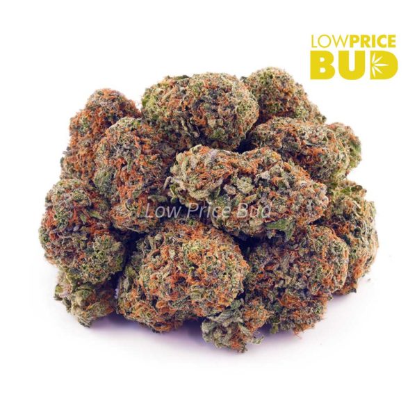Buy Super Silver Haze (AAA) online Canada