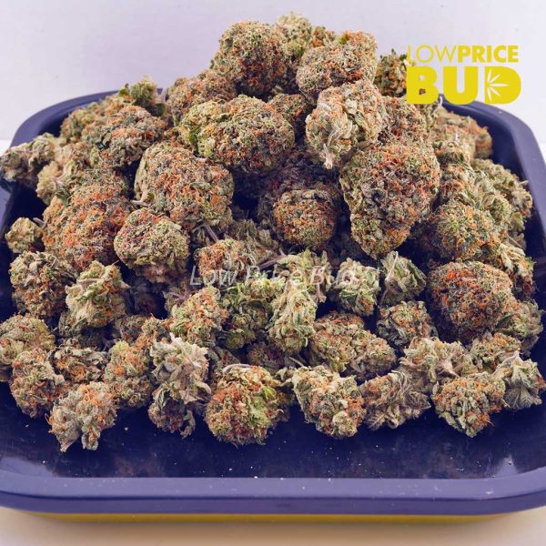 Buy Super Silver Haze (AAA) online Canada