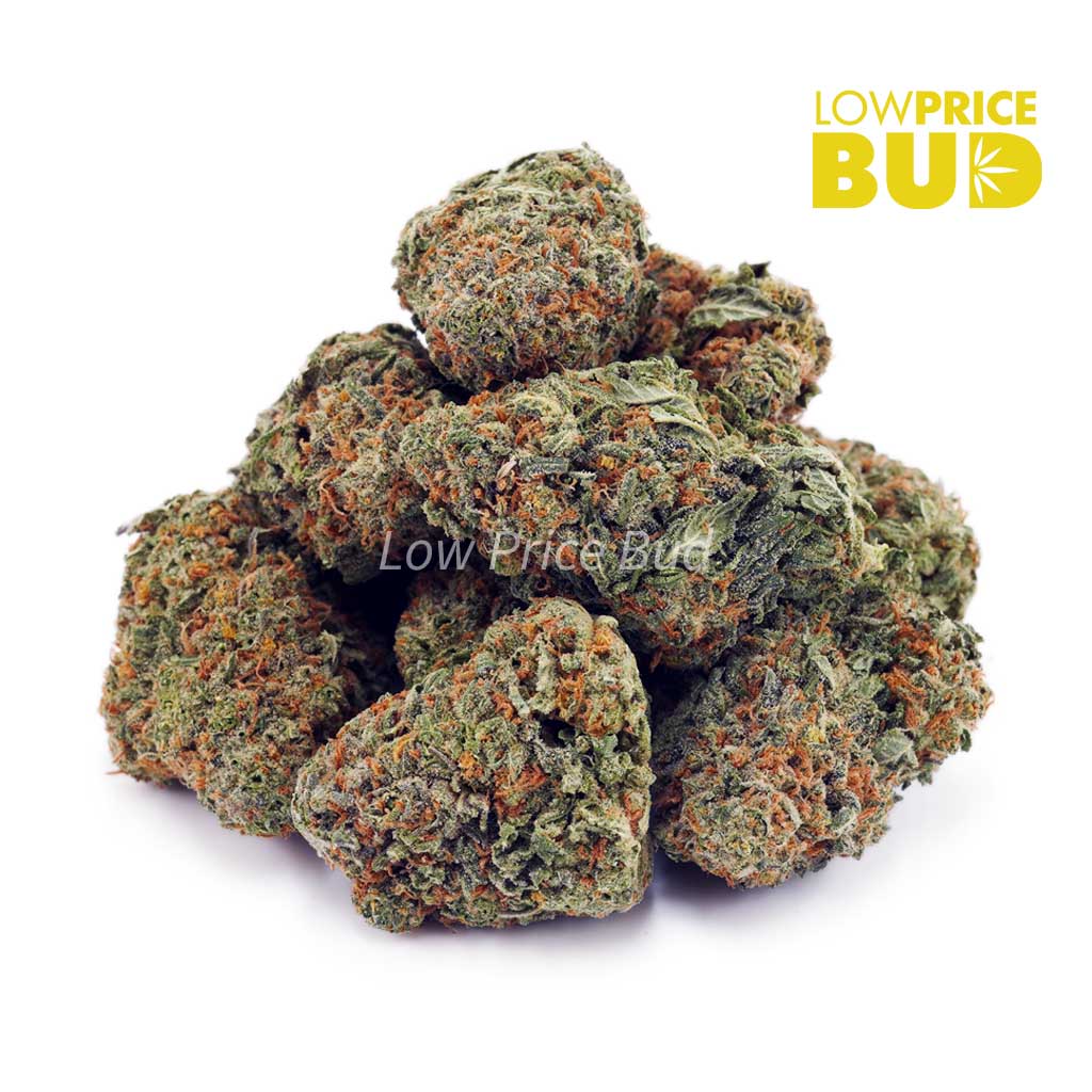 Buy Ghost Train Haze (AA) online Canada