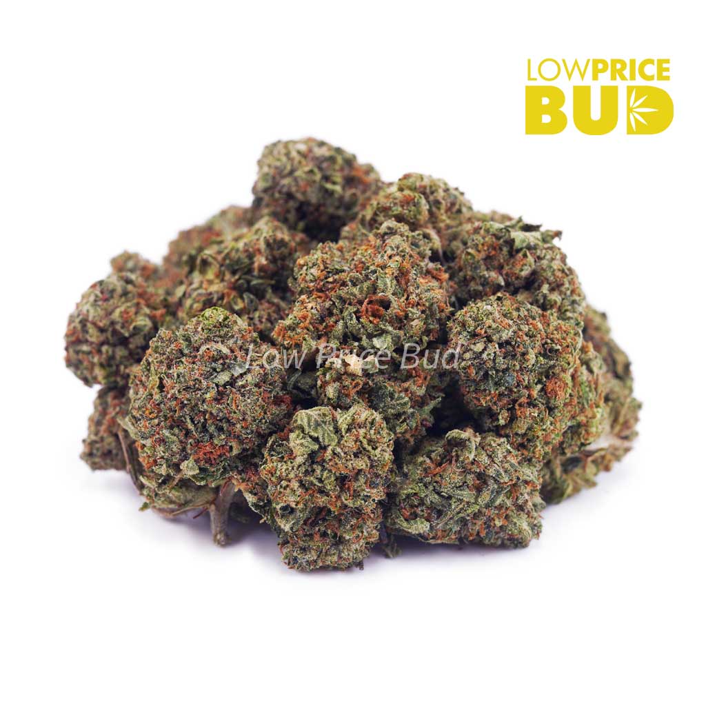 Buy Rock Tuna (AA) online Canada
