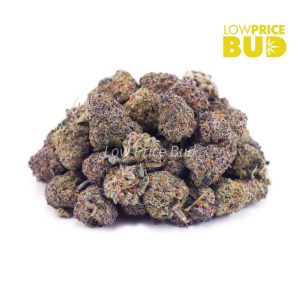 Buy White Biscotti (AAAA) – Popcorn Nugs online Canada