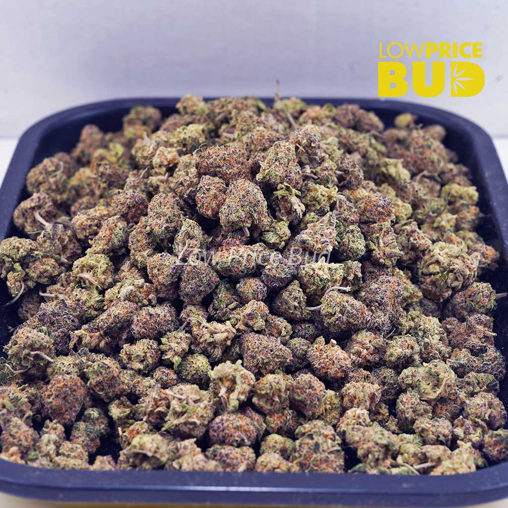 Buy White Biscotti (AAAA) – Popcorn Nugs online Canada