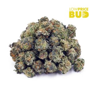 Buy Gushers (AAAA) – Popcorn Nugs online Canada