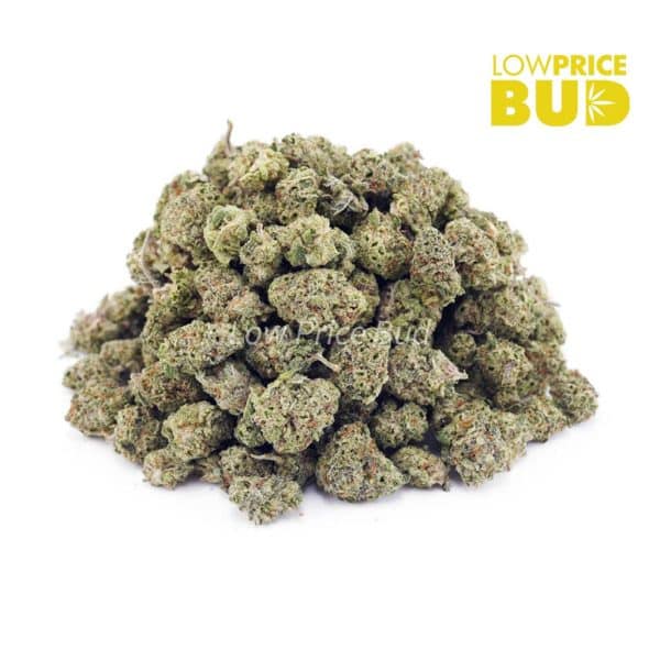 Buy Alien Cookies (AAAA) – Popcorn Nugs online Canada