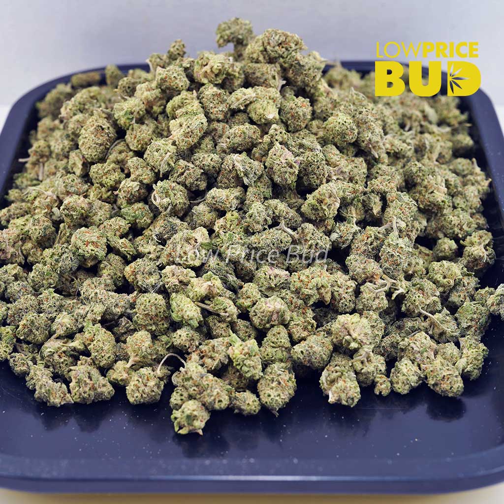 Buy Alien Cookies (AAAA) – Popcorn Nugs online Canada