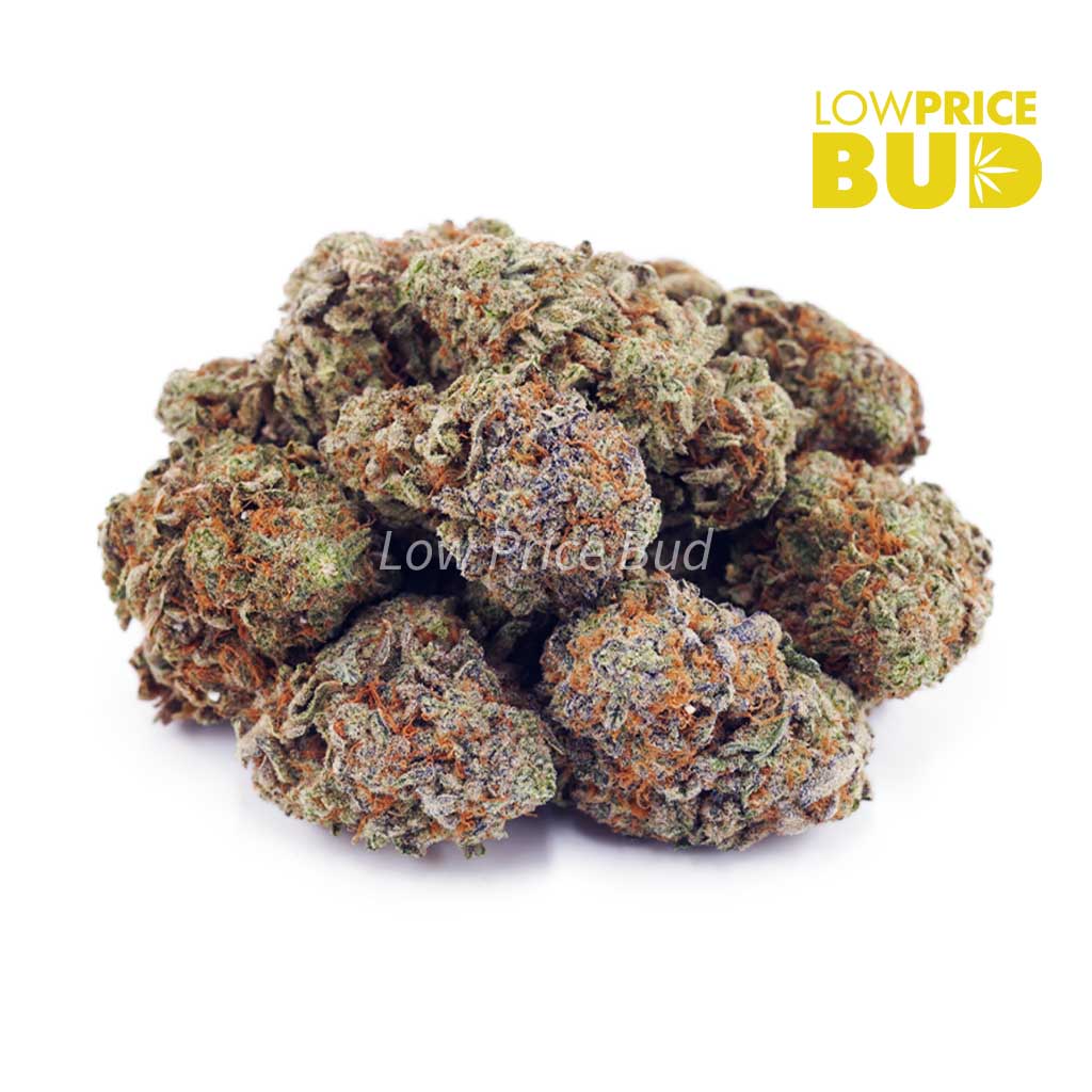 Buy White Tahoe Cookies (AA) online Canada