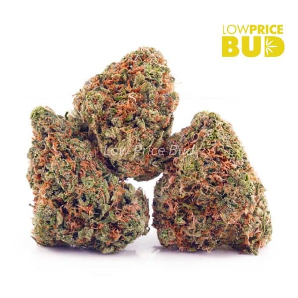 Buy Island Kush (AA) online Canada