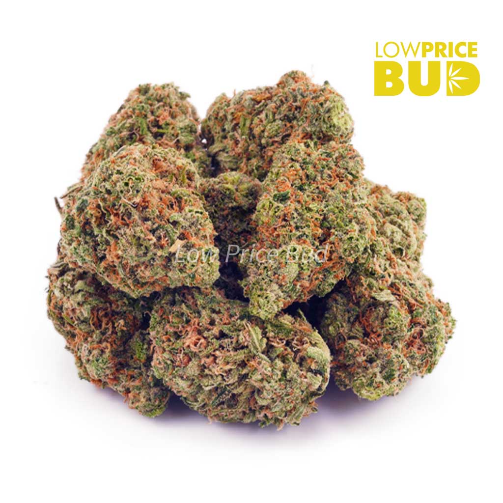 Buy Island Kush (AA) online Canada