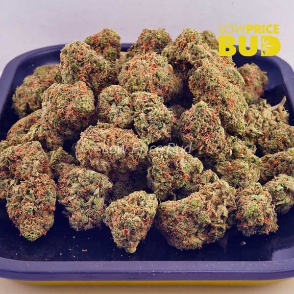 Buy Island Kush (AA) online Canada