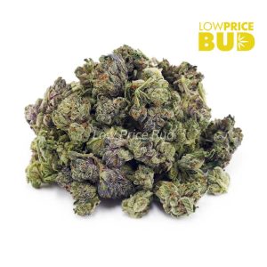 Buy Animal Face (AAAA) – Popcorn Nugs online Canada
