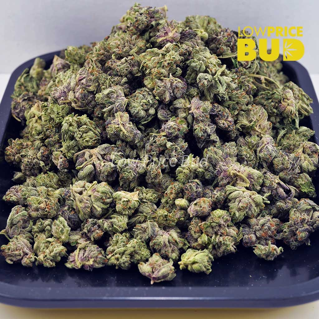 Buy Animal Face (AAAA) – Popcorn Nugs online Canada