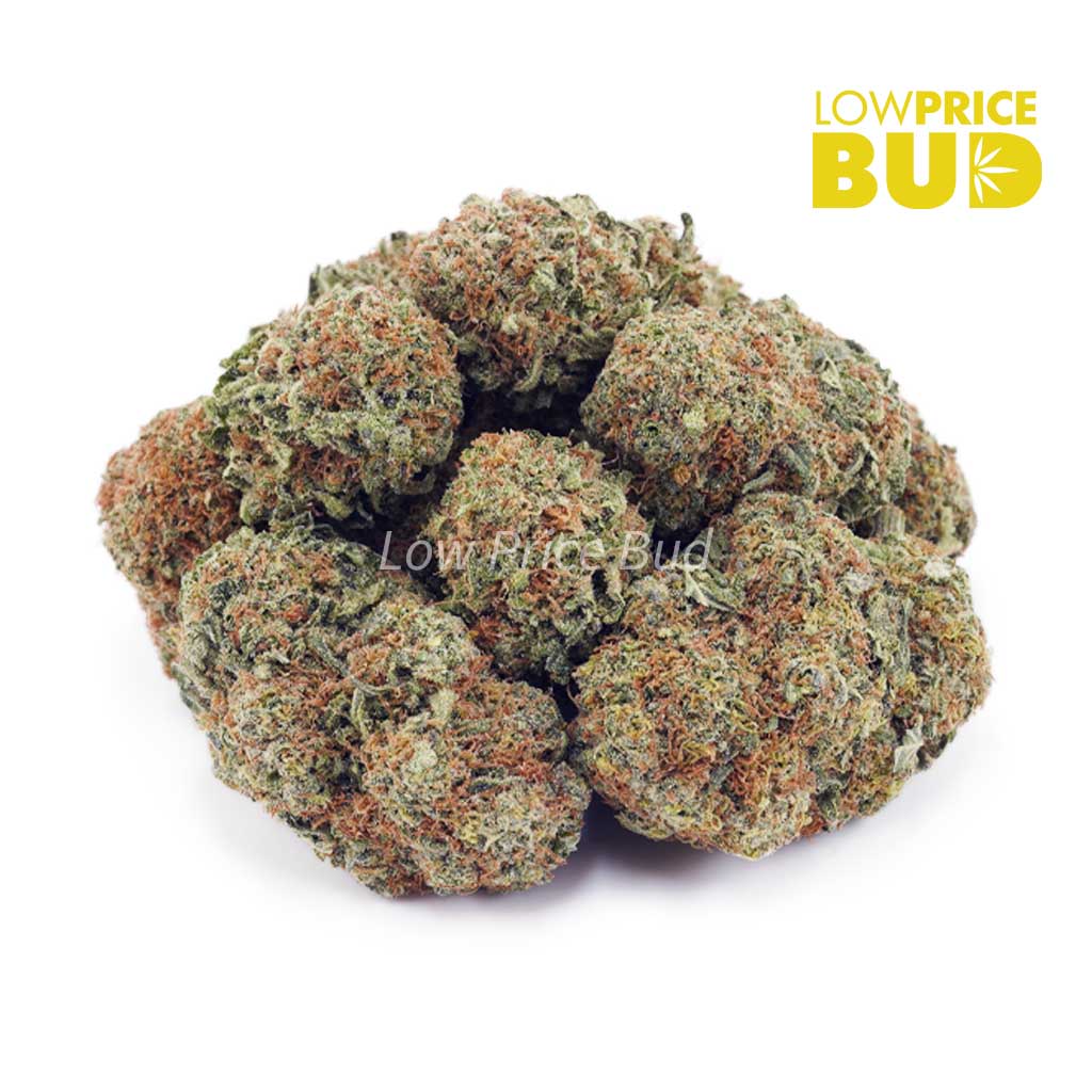 Buy AK-47 (AA) online Canada