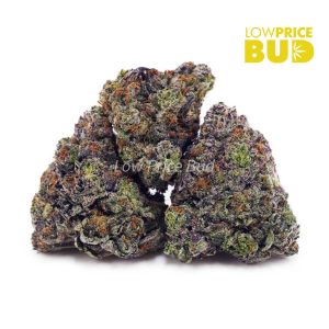Buy Pink Bruce Banner (Craft Cannabis) online Canada