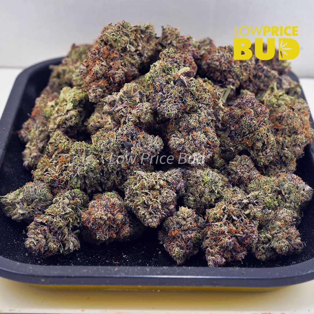 Pink Bruce Banner (Craft Cannabis) Buy Pink Bruce Banner (Craft Cannabis) online Canada