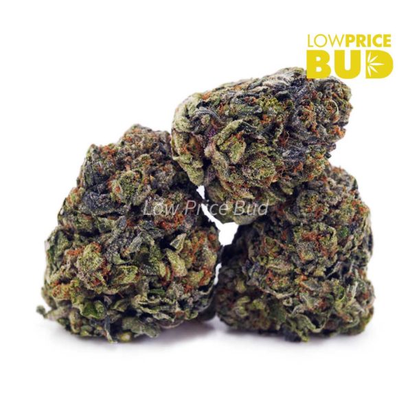 Buy Bubba Kush (AAA) online Canada