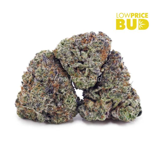 Buy Laughing Buddha (Craft Cannabis) online Canada