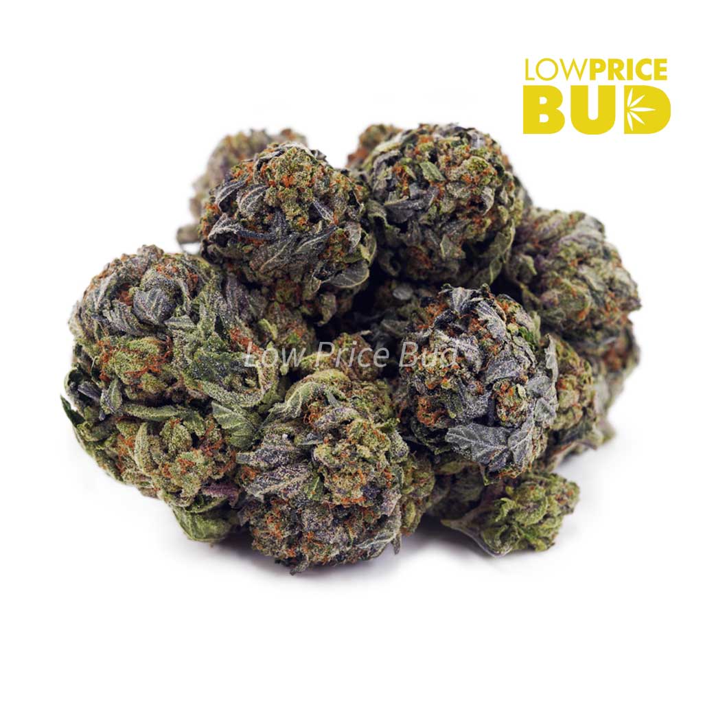 Buy Bubba Kush (AAA) online Canada