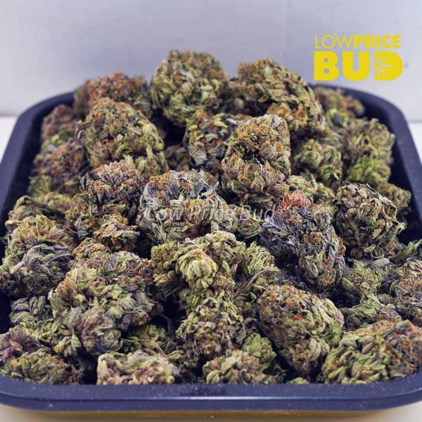Buy Bubba Kush (AAA) online Canada