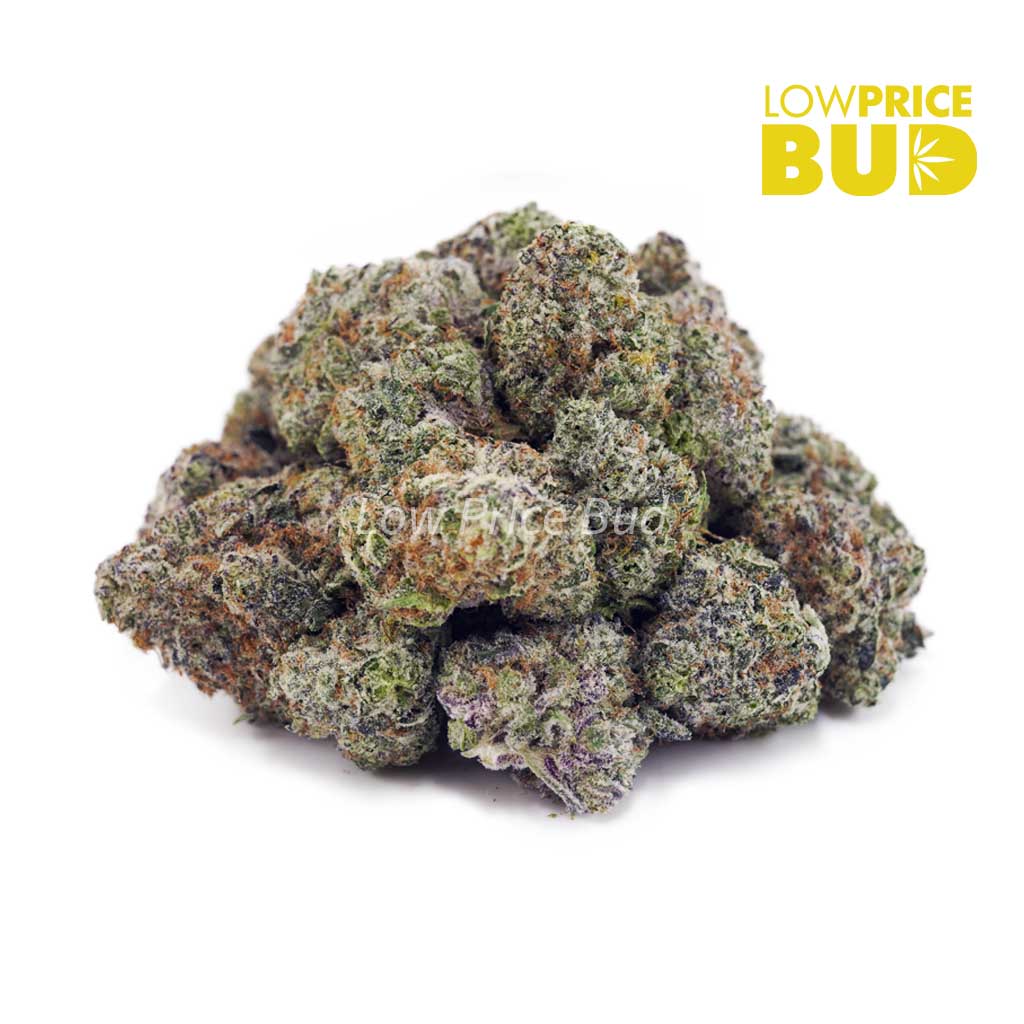 Buy Apple Fritter (Craft Cannabis) online Canada