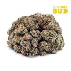 Buy Build Your Own (AAAA) Popcorn Pound 16 x 28g online Canada