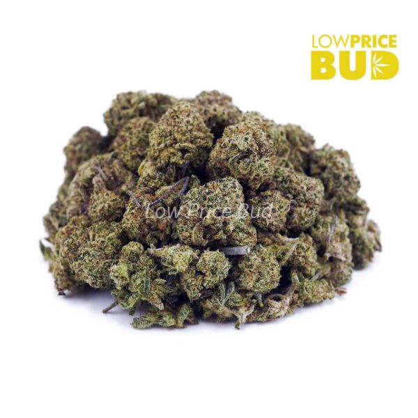 Buy MAC Donuts (AAAA) – Popcorn Nugs online Canada