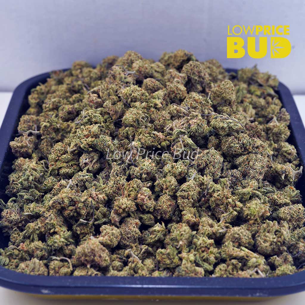 Buy MAC Donuts (AAAA) – Popcorn Nugs online Canada