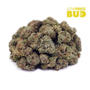 Buy Build Your Own (AAAA) Popcorn Pound 16 x 28g online Canada