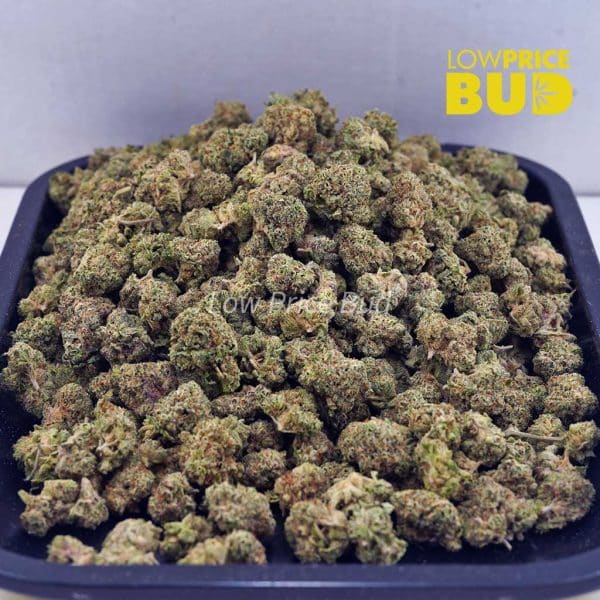 Buy Ice Cream Cake (AAAA) – Popcorn Nugs online Canada