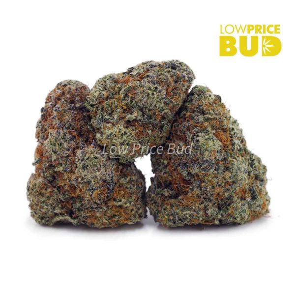 Buy Crazy Glue (AAAA) online Canada