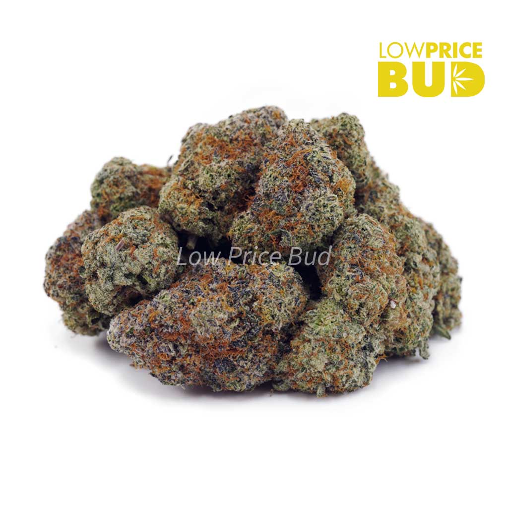 Buy Crazy Glue (AAAA) online Canada