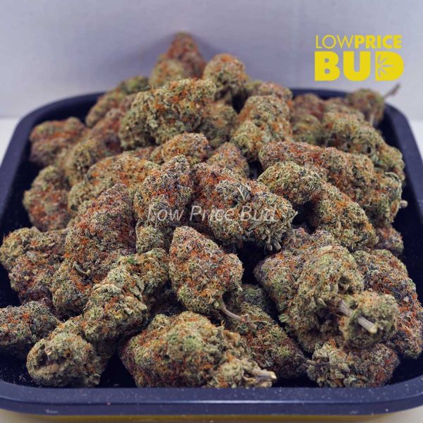 Buy Crazy Glue (AAAA) online Canada