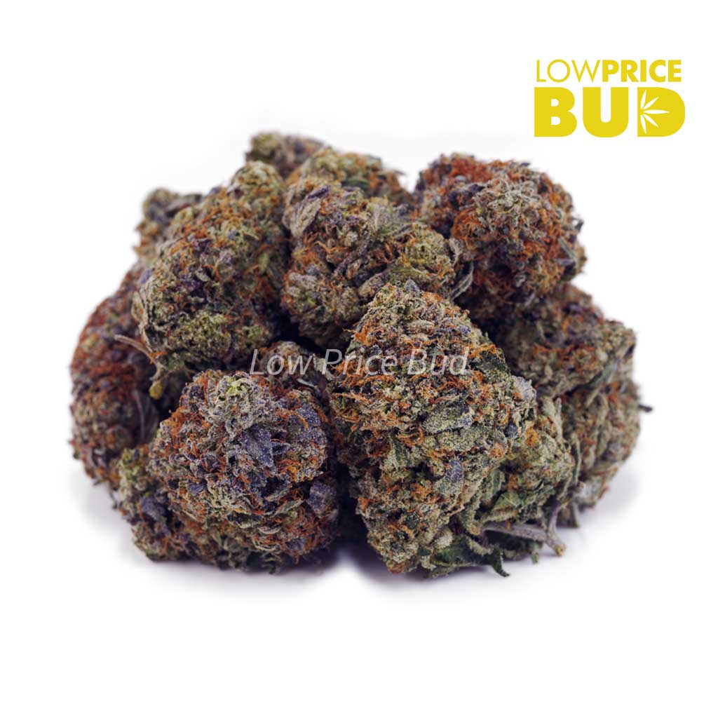 Buy El Chapo (AA) online Canada