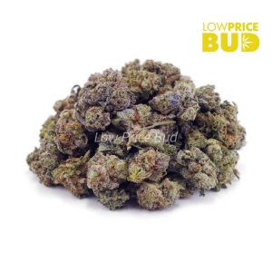 Buy Cherry Pie (AAAA) – Popcorn Nugs online Canada