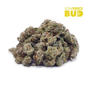 Buy Astro Cookies (AAAA) – Popcorn Nugs online Canada
