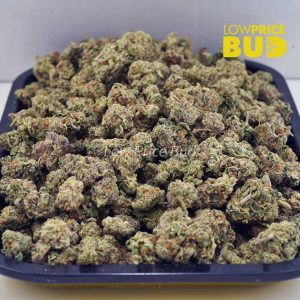 Buy Astro Cookies (AAAA) – Popcorn Nugs online Canada