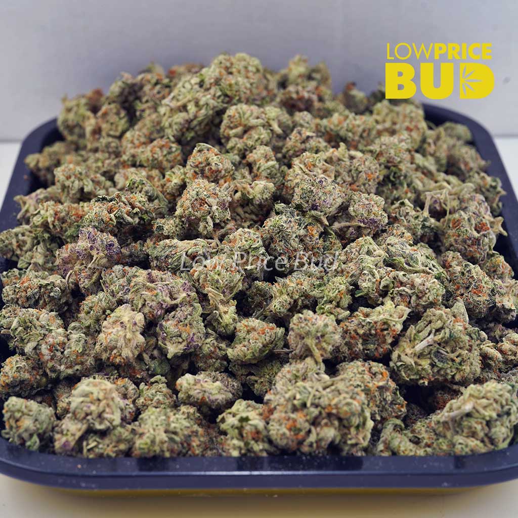 Buy Astro Cookies (AAAA) – Popcorn Nugs online Canada