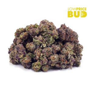 Buy Cotton Candy (AAAA) – Popcorn Nugs online Canada
