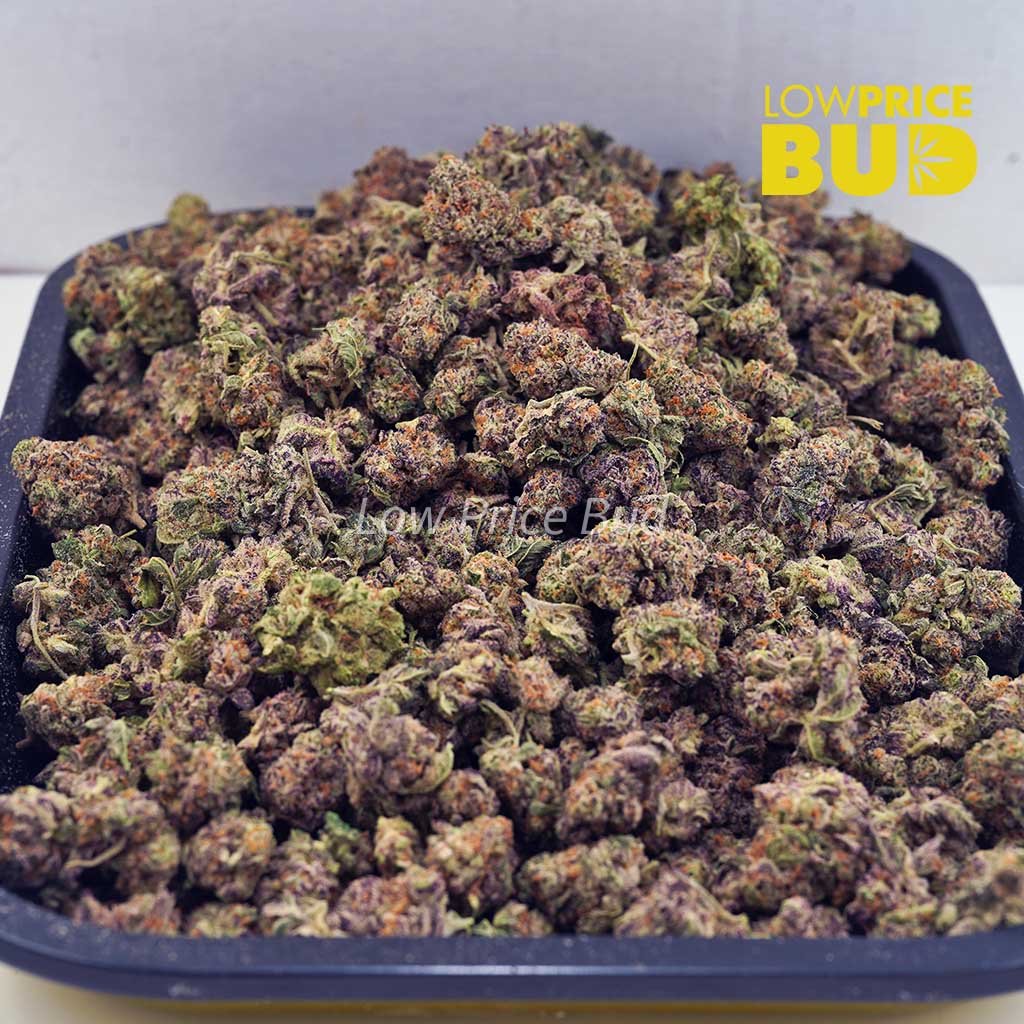 Buy Cotton Candy (AAAA) – Popcorn Nugs online Canada
